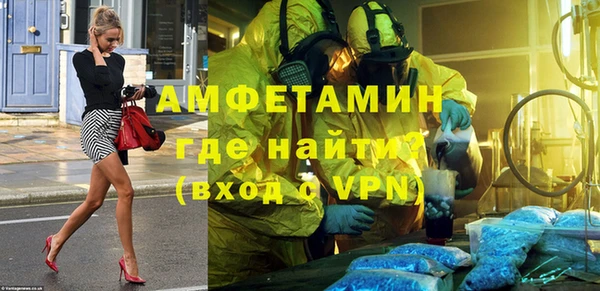 хмурый Верея