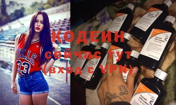 хмурый Верея