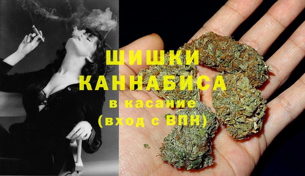 хмурый Верея