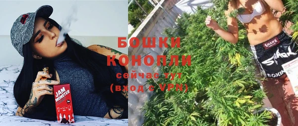 хмурый Верея