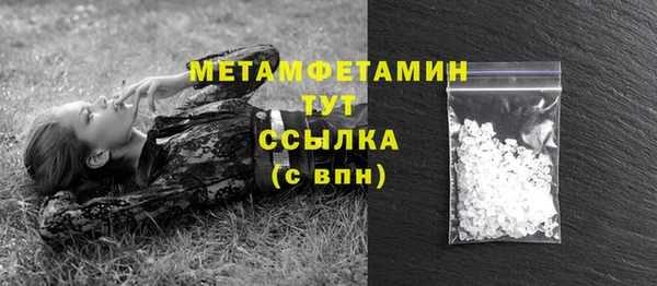 хмурый Верея