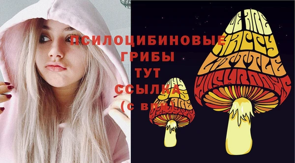 хмурый Верея