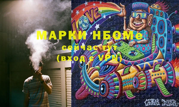 хмурый Верея