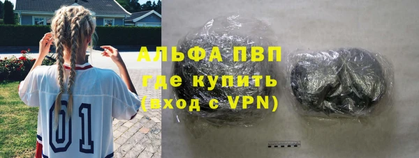 хмурый Верея