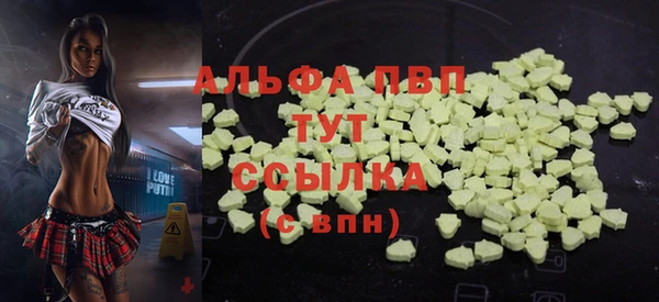 хмурый Верея